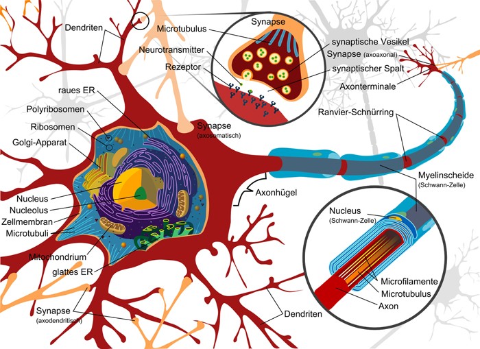 Neuron - Intellisystem Technologies